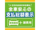 Ｌ　ＶＳＩＩ　ワンセグ　メモリーナビ　ＤＶＤ再生　アイドリングストップ(38枚目)