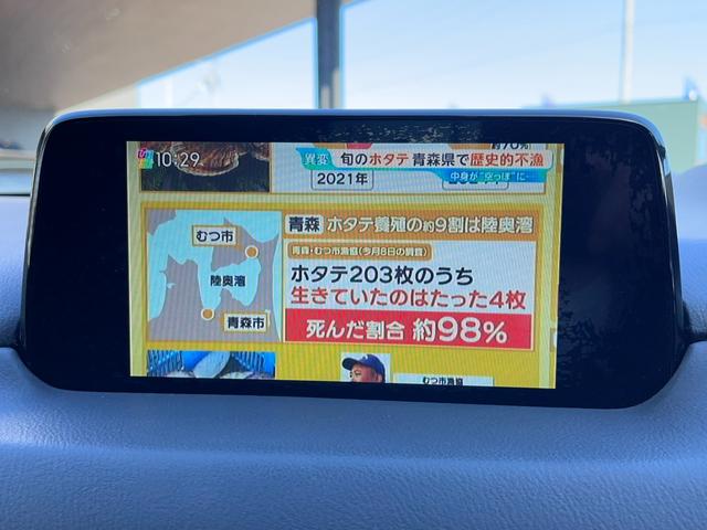 CX-5 20S プロアクティブ 純正ナビ TV DVD再生 サイド・バックカメラ クルーズコントロール コーナーセンサー TCS BSM LAS スポーツモード(28枚目)