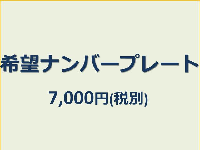 ＰＡ　車検整備付／ローダウン／ＷＯＲＫ１６インチアルミホイール／タイヤ４本新品／社外防犯ロックナット新品／リアガラスフィルム／デフオイル新品交換済／ＳＤナビ／地デジＴＶ(37枚目)