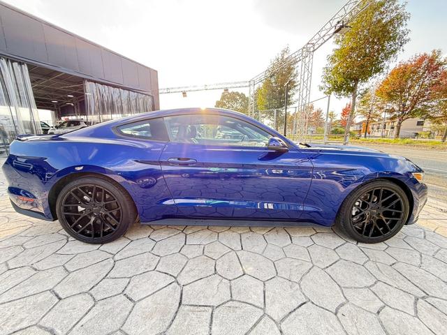 FORD MUSTANG 50 YEARS EDITION