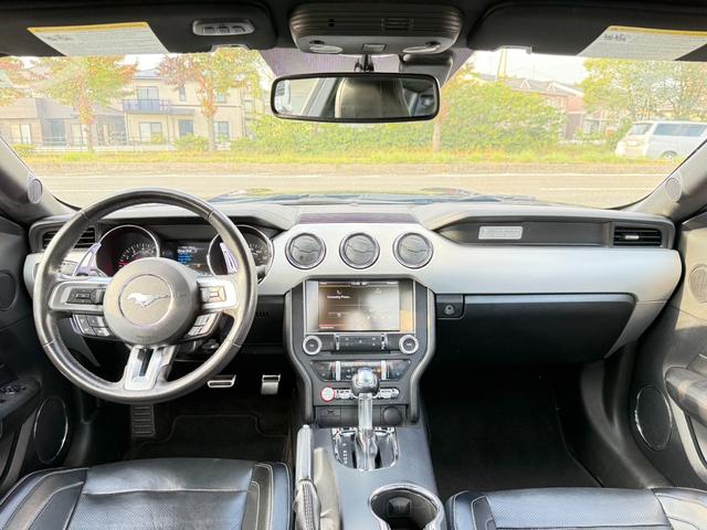 FORD MUSTANG 50 YEARS EDITION