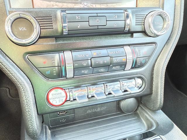 FORD MUSTANG 50 YEARS EDITION