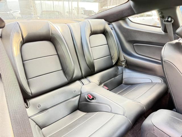 FORD MUSTANG 50 YEARS EDITION