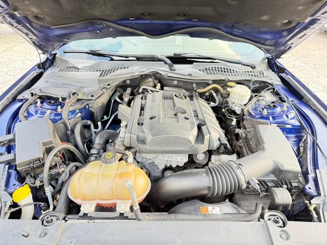 FORD MUSTANG 50 YEARS EDITION