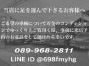サハラ　ローンチエディション　サハラ　ローンチエディション　前後バンパー　リフトアップ　背面強化キット　ルーフキャリア有り（37枚目）