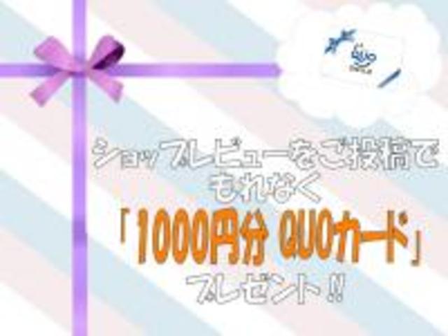 Ｇ　エアロ　ジャストセレクション　左パワースライド　ＨＩＤライト　バックカメラ(38枚目)