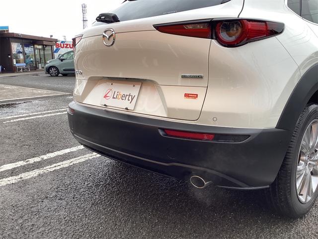 CX-30 20S プロアクティブ ツーリングセレクション ETC 全周囲カメラ クリアランスソナー オートクルーズコントロール レーンアシスト パワーシート 衝突被害軽減システム TV オートマチックハイビーム オートライト LEDヘッドランプ(31枚目)