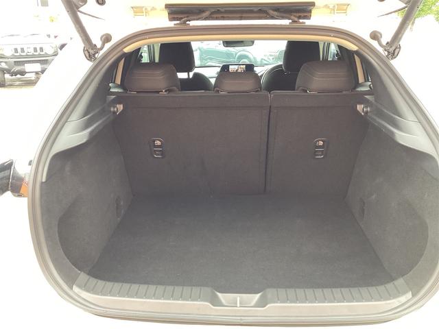 CX-30 20S プロアクティブ ツーリングセレクション ETC 全周囲カメラ クリアランスソナー オートクルーズコントロール レーンアシスト パワーシート 衝突被害軽減システム TV オートマチックハイビーム オートライト LEDヘッドランプ(59枚目)