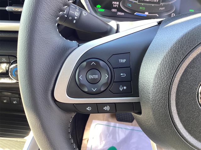 ライズ ハイブリッド　Ｚ　ディスプレイオーディオ　ＥＴＣ　バックカメラ　クリアランスソナー　オートクルーズコントロール　レーンアシスト　衝突被害軽減システム　ＴＶ　ＬＥＤヘッドランプ　アルミホイール　スマートキー（34枚目）