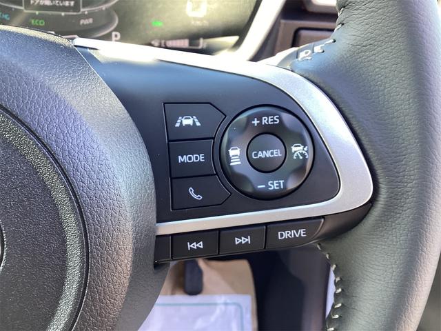 ライズ ハイブリッド　Ｚ　ディスプレイオーディオ　ＥＴＣ　バックカメラ　クリアランスソナー　オートクルーズコントロール　レーンアシスト　衝突被害軽減システム　ＴＶ　ＬＥＤヘッドランプ　アルミホイール　スマートキー（35枚目）