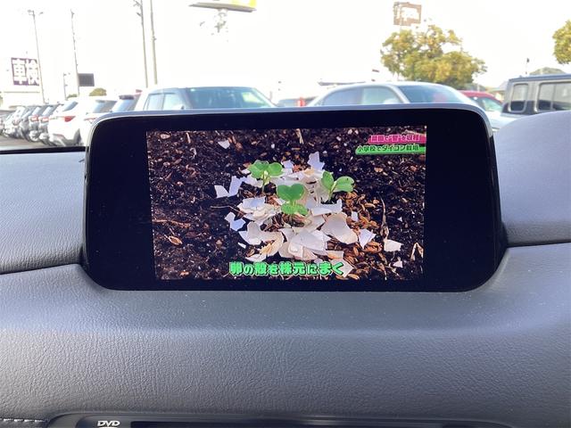 ＴＶ付きの車となっております。ドライブの合間の休憩中に気になる番組を見ることができます。