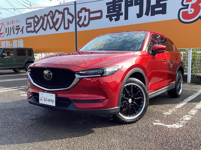 是非一度、実車を御覧ください。