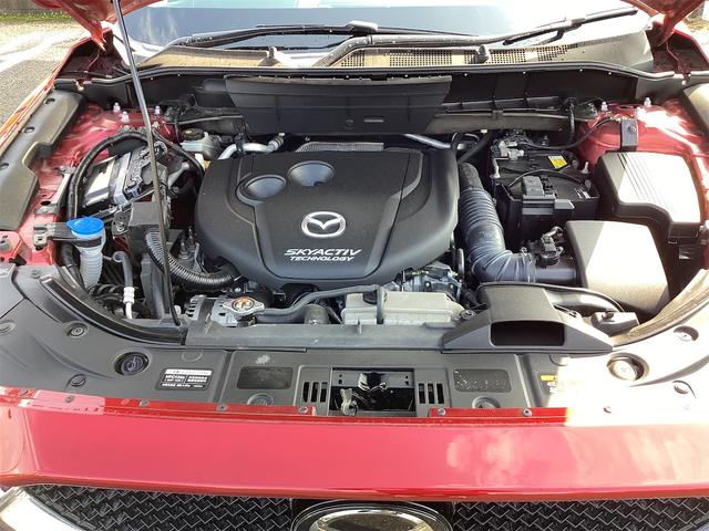 是非一度、実車を御覧ください。