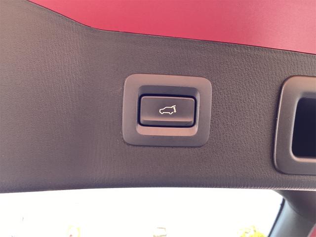 お車の知識がなくても大丈夫です！皆様のご来店をスタッフ一同、心よりお待ちしております。