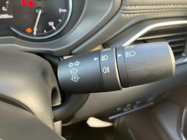 ＣＸ－８ ４ＷＤ　ＸＤ　Ｌパッケージ　ＢＯＳＥ／純正　ＳＤナビ／衝突安全装置／シートヒーター　前席／３６０°ビューモニター／車線逸脱防止支援システム／電動バックドア／ドライブレコーダー　社外／ヘッドランプ　ＬＥＤ／ＥＴＣ　バックカメラ（32枚目）