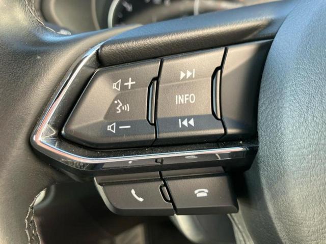 ＣＸ－８ ４ＷＤ　ＸＤ　Ｌパッケージ　ＢＯＳＥ／純正　ＳＤナビ／衝突安全装置／シートヒーター　前席／３６０°ビューモニター／車線逸脱防止支援システム／電動バックドア／ドライブレコーダー　社外／ヘッドランプ　ＬＥＤ／ＥＴＣ　バックカメラ（34枚目）