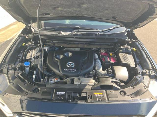 ＣＸ－８ ４ＷＤ　ＸＤ　Ｌパッケージ　ＢＯＳＥ／純正　ＳＤナビ／衝突安全装置／シートヒーター　前席／３６０°ビューモニター／車線逸脱防止支援システム／電動バックドア／ドライブレコーダー　社外／ヘッドランプ　ＬＥＤ／ＥＴＣ　バックカメラ（49枚目）