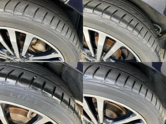 �u���̎Ԃ̎ʐ^�������ƌ������v�u��Ԃ��C�ɂȂ�v�u���̑����͂��Ă���H�v�ǂ�ȏ����ȋ^��ł����C�y�ɂ��₢���킹���������I