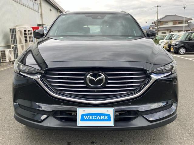 ＣＸ－８ ２５Ｓプロアクティブ　純正　ＳＤナビ／フリップダウンモニター／衝突安全装置／シートヒーター　前席／３６０°ビューモニター／車線逸脱防止支援システム／電動バックドア／ヘッドランプ　ＬＥＤ／ＥＴＣ／ＥＢＤ付ＡＢＳ　後席モニター（41枚目）