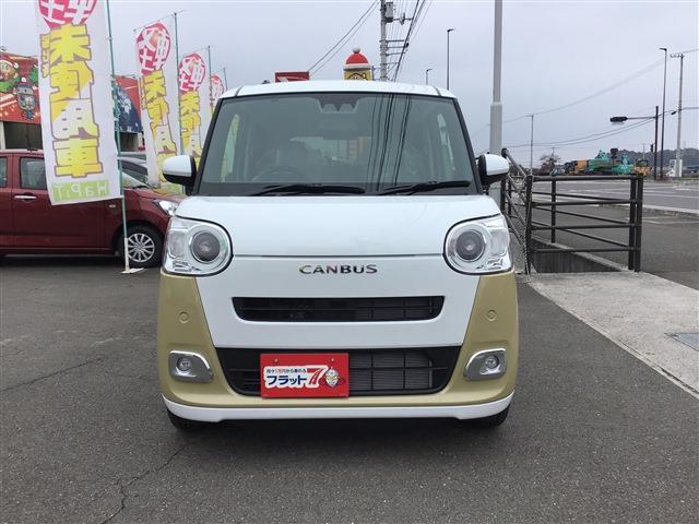 ムーヴキャンバス セオリーG(3枚目)