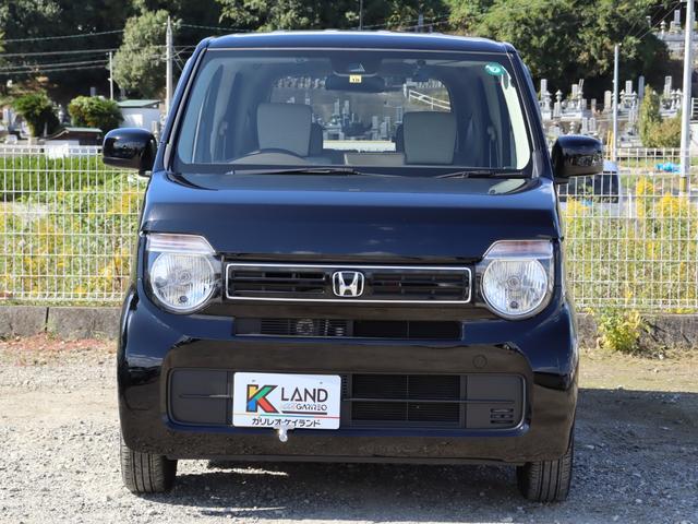 掲載車両の支払総額で乗り出し可能です。※オプション品等追加の場合は別途費用がかかります。')