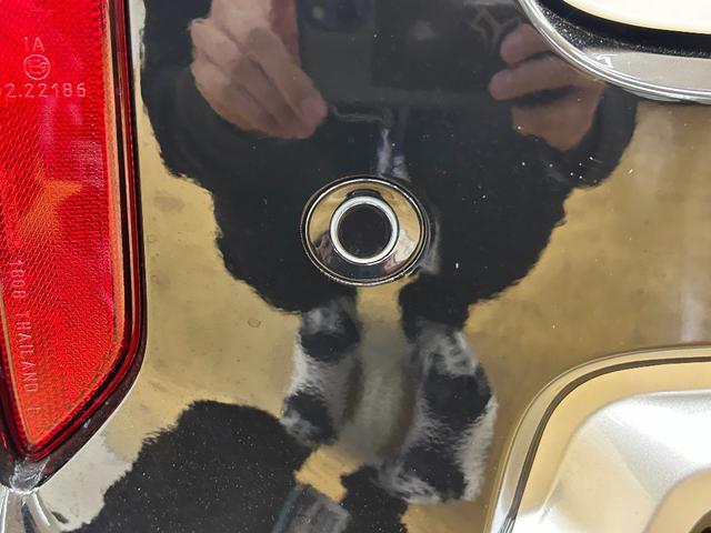 デリカミニ G プレミアム 全周囲カメラ 両側電動スライドドア オートクルーズコントロール レーンアシスト 衝突被害軽減システム オートライト LEDヘッドランプ スマートキー アイドリングストップ 電動格納ミラー(30枚目)