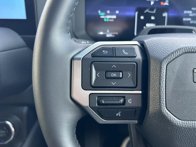 ランドクルーザー250 VX サンルーフ 軽油 ルーフレール 純正ナビ Bluetooth  全周囲カメラ レーダークルーズコントロール ブラインドスポットモニター ETC パワーバックドア テレナビキット(33枚目)