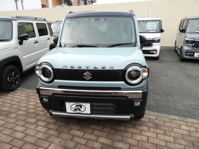 ハスラー タフワイルド(2枚目)