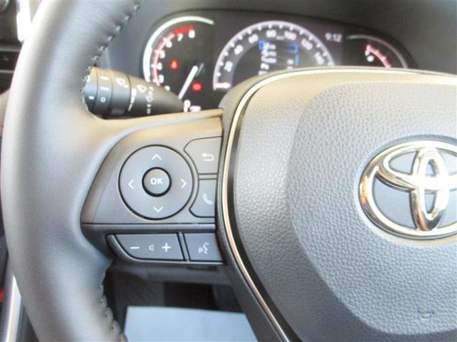 ＲＡＶ４ アドベンチャー　オフロードパッケージ　４ＷＤ　フルセグ　メモリーナビ　ミュージックプレイヤー接続可　バックカメラ　衝突被害軽減システム　ＥＴＣ　ＬＥＤヘッドランプ　ワンオーナー（28枚目）