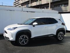 ꥹ ϥ֥åɣڡե륻꡼ʥӡߥ塼åץ쥤䡼³ġХå 1301025A20251109T001 2