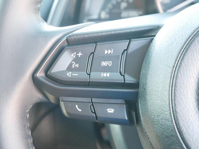 ＣＸ－３ １５Ｓ　ツーリング　メーカーオプションナビ　全方位モニター　プッシュスタート　ＬＥＤヘッドライト　パーキングホールド　車線逸脱警報　アイドリングストップ　オートエアコン　スマートキー付き（32枚目）