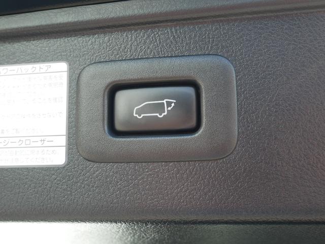 ヴェルファイア 純正ナビ バックモニター ETC プッシュスタート 両側パワースライド 後席ディスプレイ パーキングホールド オートハイビーム 車線逸脱警報 衝突被害軽減システムプリクラッシュセーフティ付き(57枚目)