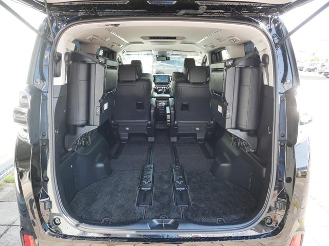 ヴェルファイア 純正ナビ バックモニター ETC プッシュスタート 両側パワースライド 後席ディスプレイ パーキングホールド オートハイビーム 車線逸脱警報 衝突被害軽減システムプリクラッシュセーフティ付き(59枚目)