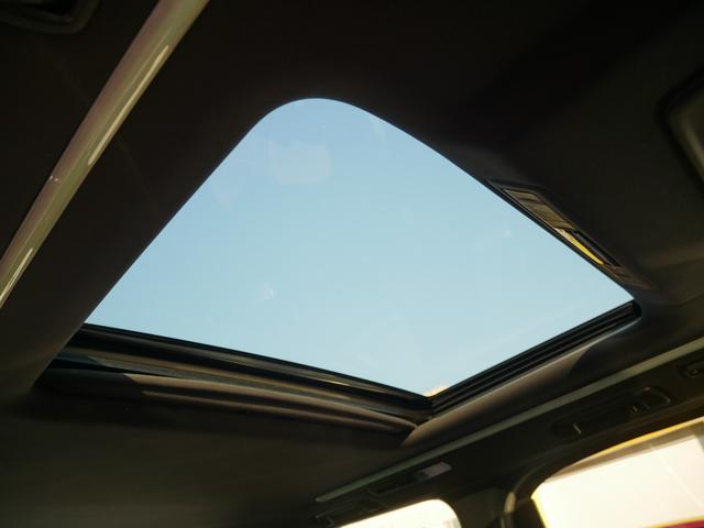 ���T�����[�t�i�����猩����ԁj