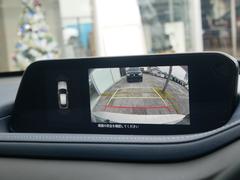 Хå˥ʲɥ饤Τǡ֤䤹ǤϤξ㳲ʪޤǤεΥǧǤ뵡ǽޤ 3