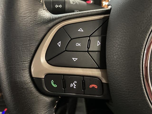 リミテッド ワンオーナー 黒本革シート メモリーナビ バックカメラ 前面衝突警報 シートヒーター HIDヘッドライト ブラインドスポットモニター レーンアシスト クルコン フルセグ ステアリングヒーター ETC(52枚目)