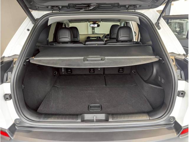 ジープ・チェロキー リミテッド レーダークルーズコントロール/ブラインドスポットモニター/シートヒーター/ベンチレーション/電動シート/パワーバックドア/バックカメラ/フロントカメラ/衝突軽減ブレーキ/ETC2.0/レーンキープ/(67枚目)