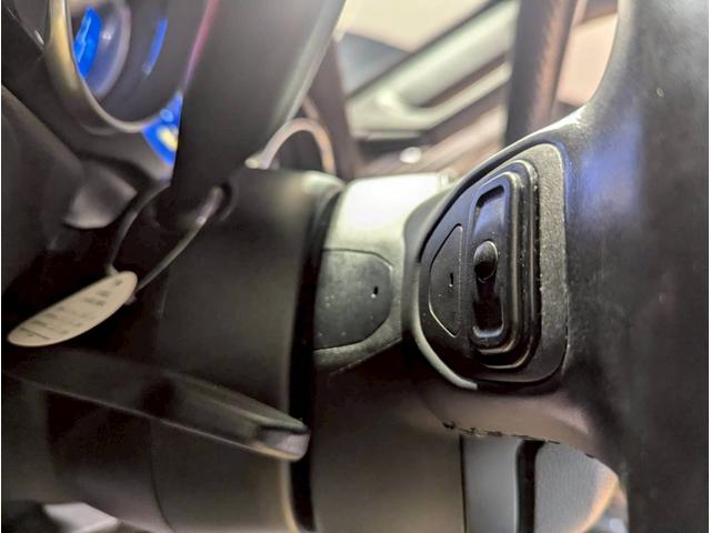 ジープ・ラングラー ブラック&タン 50台限定車/リアパークアシスト/バックカメラ/サイドカメラ/禁煙車/純正ディスプレイオーディオ/純正17AW/前面衝突警報/アクティブクルーズコントロール/ソフトトップ/LEDライト/(24枚目)