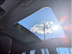 ס ߥƥåɡʥӡɥ쥳Хå˥ţԣ 1301027A30251117W001 6