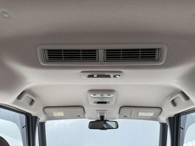 �V��Ɍ�ȃt�@���t�����G�A�R���̕�����Ȃɑ������遙��C���z�����āA�������ϓ��ɂ��遙�Ȃǂ̓���������܂���