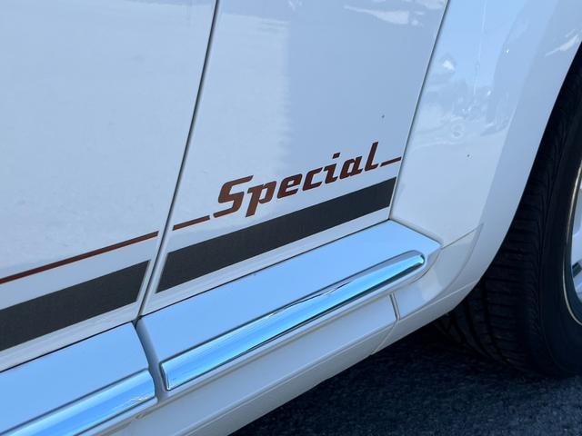 スペシャル・バグ　シートヒーター　特別使用車　限定車　バックカメラ　ナビ　ＥＴＣ　キセノンヘッドライト　ＨＩＤ　プッシュスタート　フォグランプ　専用リアスポイラー(22枚目)