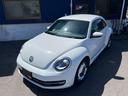 VOLKSWAGEN THE BEETLE