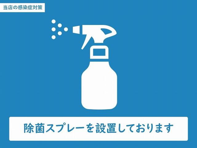G ジャストセレクション 後期 電スラ 純正SDナビ フルセグ DVD再生 Bカメラ Bluetooth ステリモ HIDオートライト ETC スマートキー2個 ドラレコ アームレスト シートリフター マットバイザー(42枚目)