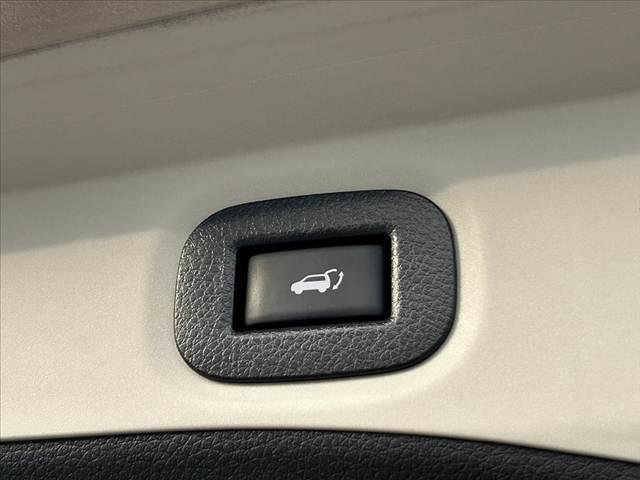 エクストレイル 20Xt エマージェンシーブレーキパッケージ Pアシスト クルコン Pバックドア オートLED アラビュー 純正SDナビ フルセグ BT ステリモ ETC スマートキー2 ルーフレール 純正17AW チルトステア シートリフター Fシートヒーター(36枚目)