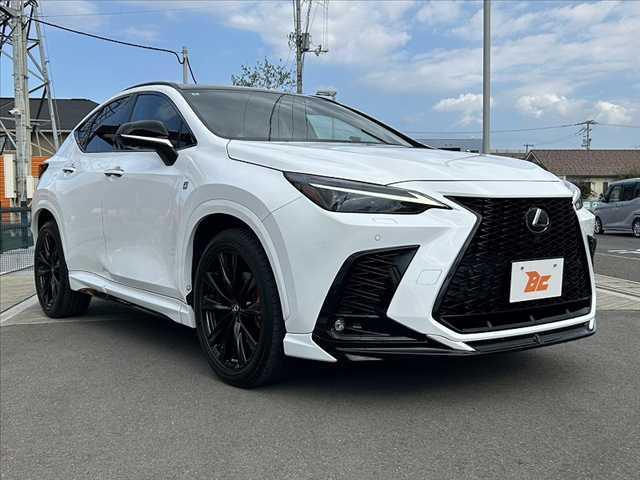 ＢＵＤＤＩＣＡは業販をメインとしたお店ですが、一般の方にも販売しておりますのでお気軽にご相談下さい。