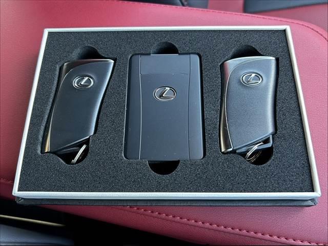 NX NX450h+ Fスポーツ 禁煙車 TRDエアロ アドバンストパーク セーフティ Aクルコン Aハイビーム BSM 20インチAW スポーツ革シート スマートキーX2 ETC オートLED Dインナーミラー 14型ナビ BT(22枚目)