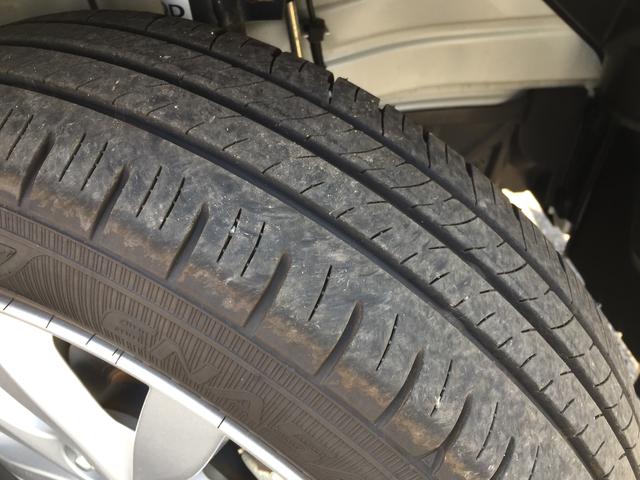 HYBRID FZ(39枚目)