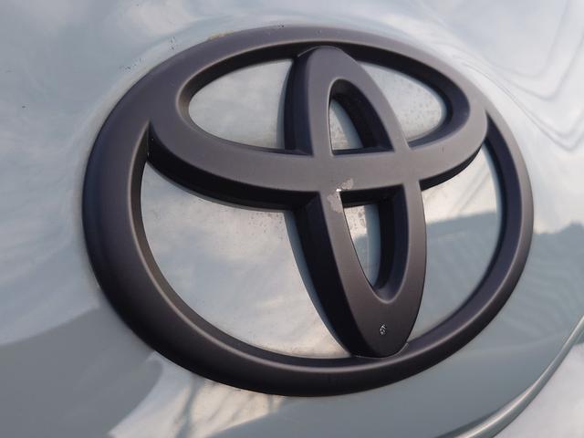 プロボックス GL アーバンカーキ全塗装 純正ナビワンセグ バックカメラ ルーフキャリア オーバーフェンダー プッシュバンパー レーンキープアシスト(6枚目)