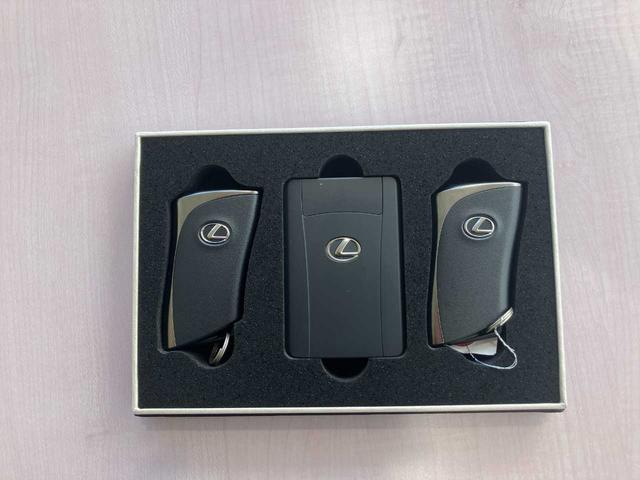 ＮＸ ＮＸ２５０　バージョンＬ　ワンオーナー／サンルーフ／黒レザーシート／メーカーナビ／フルセグＴＶ／ＢＴオーディオ／前後ドラレコ／ＥＴＣ２．０／プリクラッシュセーフティ／デジタルインナーミラー／前後コーナーセンサー（31枚目）