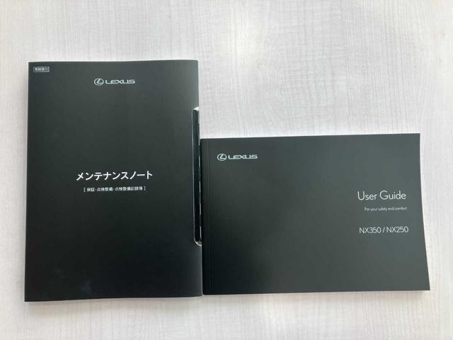ＮＸ ＮＸ２５０　バージョンＬ　ワンオーナー／サンルーフ／黒レザーシート／メーカーナビ／フルセグＴＶ／ＢＴオーディオ／前後ドラレコ／ＥＴＣ２．０／プリクラッシュセーフティ／デジタルインナーミラー／前後コーナーセンサー（32枚目）